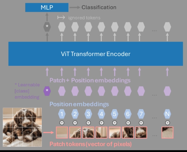 Рисунок 1. Схема архитектуры ViT