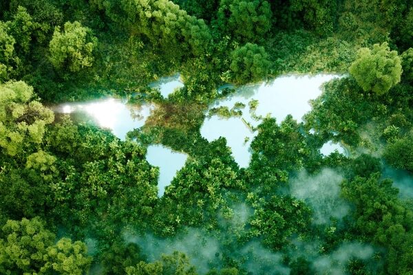 New Scientist. Новости науки и длинные статьи от опытных журналистов, освещающие события в области науки, технологий, здравоохранения и окружающей среды на веб-сайте и в журнале.