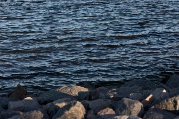 Вода из реки Нью-Ривер омывает скалистый берег.