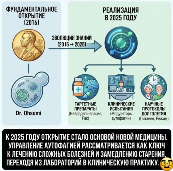 803bb4fafba57c0ef318179fa045de4a