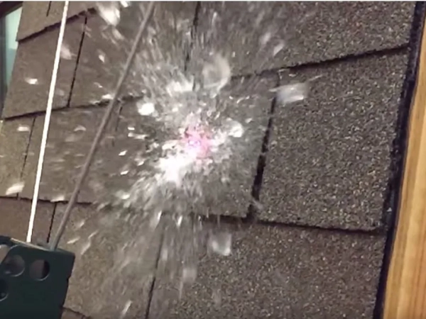 Изображение может содержать элементы природы и пейзажей.