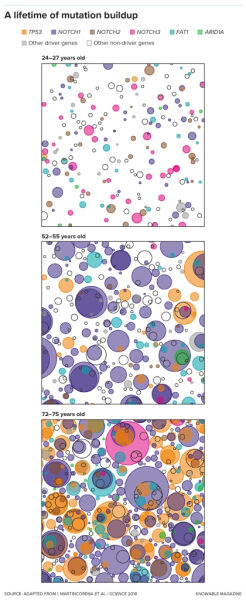 8d4573ff2fa813e9041f1a6f6775c434