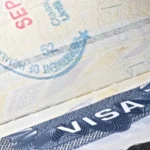 Google и Apple предупреждают своих сотрудников с визами о рисках международных поездок из-за задержек в визовых заявках