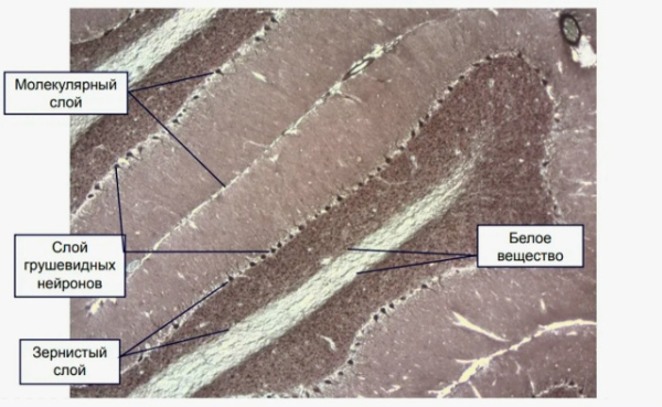 8fe4134e4ba54012f16438cc75ef1127