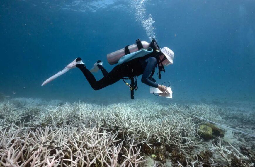 Дайвер обследует коралловый риф под водой, документируя его состояние.