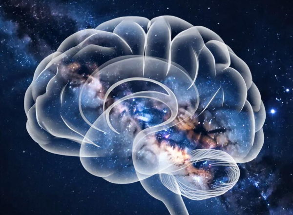 Новая теория сознания раскрывает тайну&hellip;