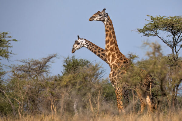 94999660a8e25baf917b03ba3fde105f