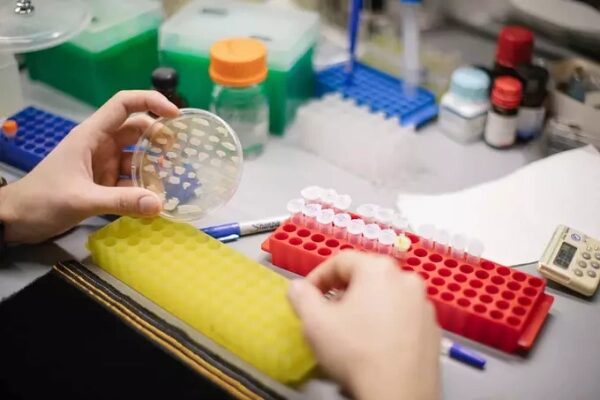 Лабораторная работа: исследование в чашках Петри и пробирках на рабочем столе ученого.