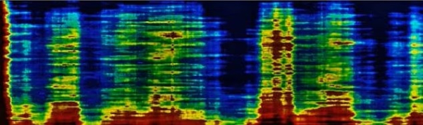 Новые доказательства указывают на гигантские колонны под пирамидами Гизы