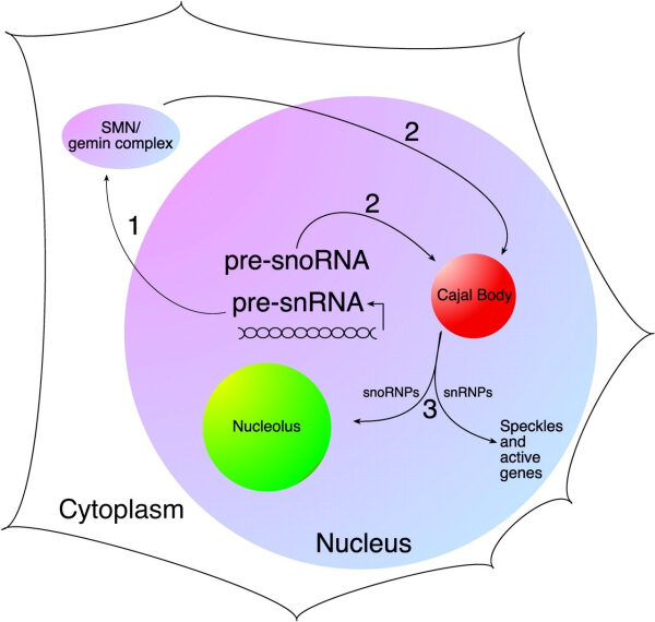 a3d38b954ed60110b398586530032a16