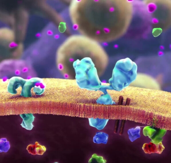 Исследователи стремятся понять, какое влияние&hellip;