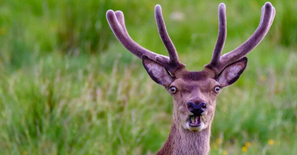 a875087f1a15ecae813debe6b5592706