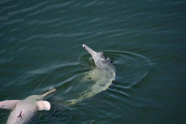 a891826ca829baa1843e35fed34725a2