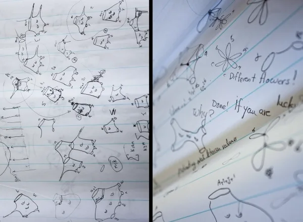 Спустя годы после преждевременной смерти гениальной математики её идеи обретают новую жизнь. 9 Листы бумаги, покрытые диаграммами.