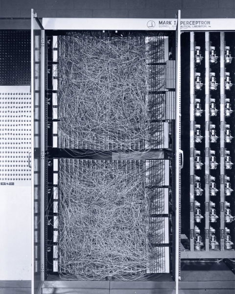 Множество проводов отрывается от компьютера-персептрона.