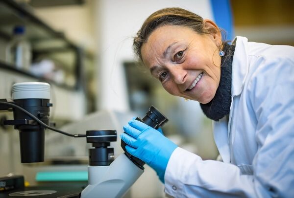 Портрет Изабель Мансуи.