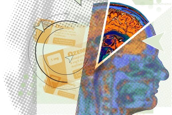 Препараты для снижения веса, испытания которых начнутся в 2026 году, могут превзойти по эффективности Ozempic и Zepbound. 4 Что на самом деле говорят нам препараты, ингибирующие ГЛП-1, о системе вознаграждения мозга?