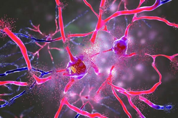 Активность нейронов в головном мозге, нейронные связи и электрические импульсы.