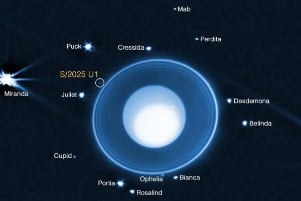 В 2025 году в нашей&hellip;