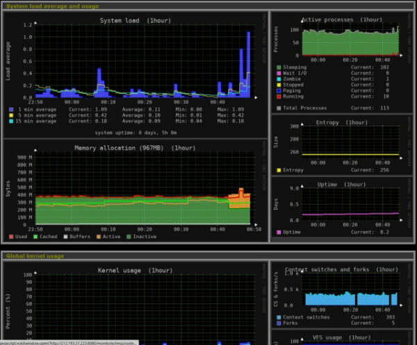 Мониторинг использования системы: загрузка, распределение памяти, активные процессы.