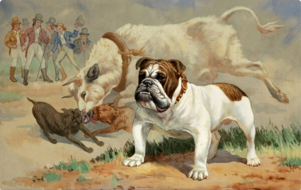 dd2506c5d3a99a0924fb921c68c85b5e