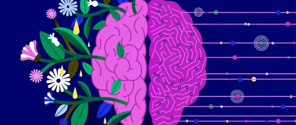 e213e1df3d85daf440738cb9e958e0d6