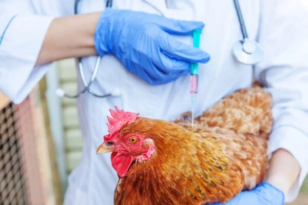 e7cbf7eb37880c72a4a83c94723ebdbb