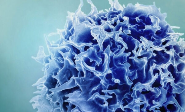 Клетка крупным планом под микроскопом, синяя, с текстурной поверхностью.