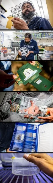 Сверху вниз: Пракаш держит напечатанный на 3D-принтере лист изогнутого пластика; Пракаш держит белое круглое колесо со сложными вырезами; прозрачный пластиковый футляр с маленькой линзой и цветными проволочками; сетчатый цилиндр; футляр со стеклянными предметными стеклами; кусок сложенного картона размером с человеческую ладонь с маленькой линзой и прорезью для предметного стекла.