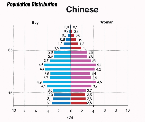 Изображение: China population pyramid projection 2050