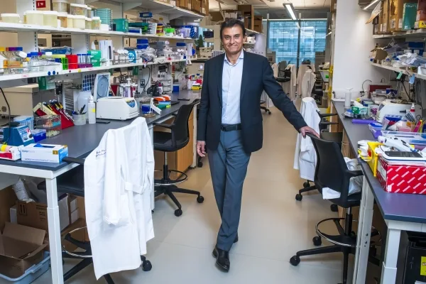 Как метаболизм может определять судьбу клеток 5 fd39ba74279a65df0a7f44ee850d4777