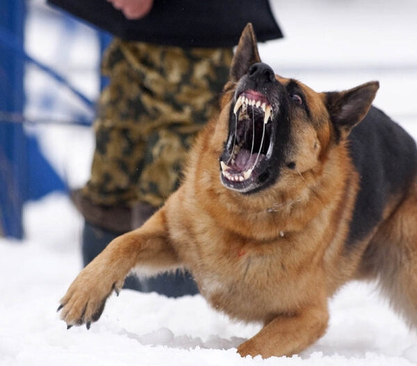 fda52b9133e737b451117449d1815374