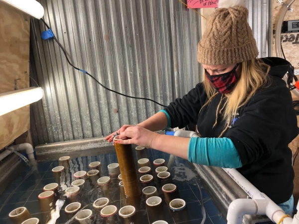 Изображение может содержать изображения человека, архитектуры, здания и завода.