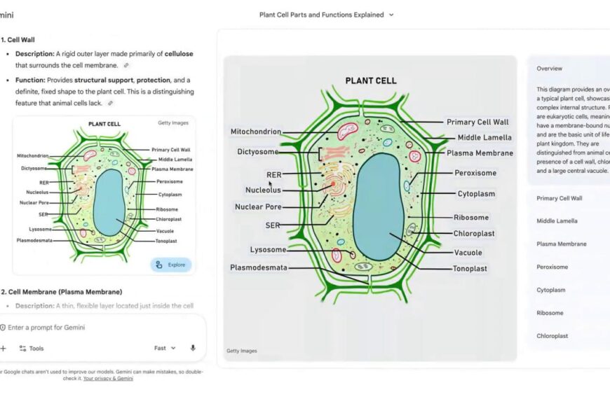 Gemini научили генерировать интерактивную инфографику&hellip;