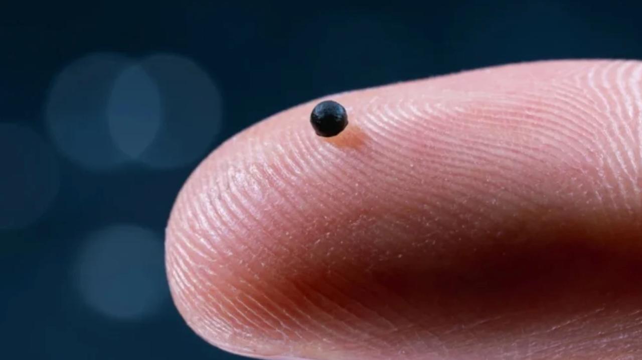 Микророботы, которые доставляют лекарства “точечно”, уже работают в сосудах животных... 3 file 1302.jpg