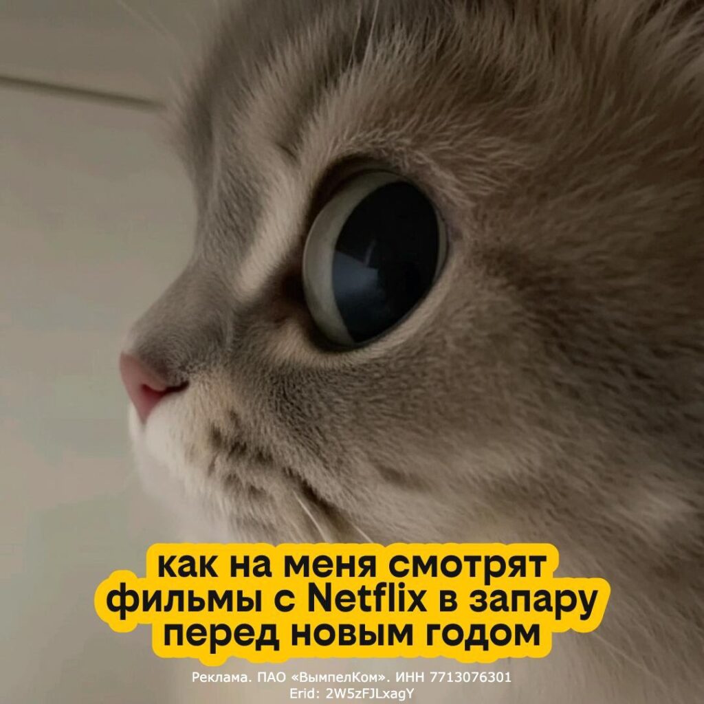 Крупный план мордочки кота, текст о просмотре Netflix перед Новым годом.