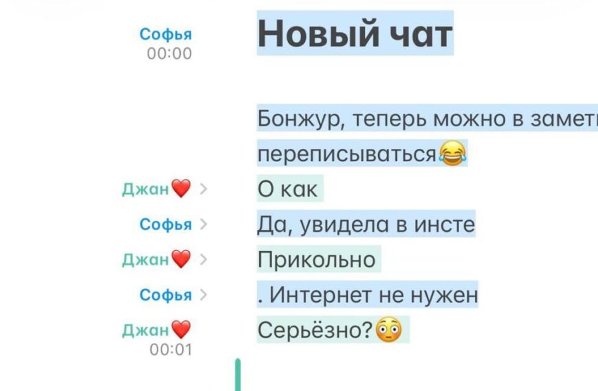 Скриншот переписки в мессенджере об анонимном чате без интернета на айфоне.