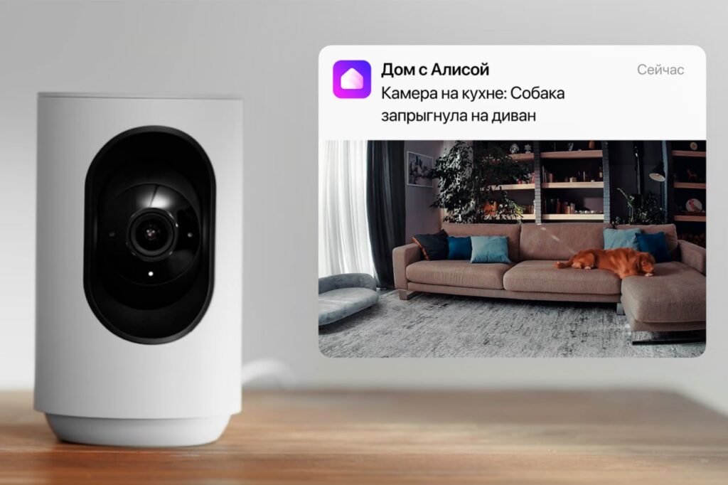 Умная IP-камера Яндекса прокачалась: туда добавили Alice AI VLM —... 1 Умная камера в доме: уведомление о собаке на диване.