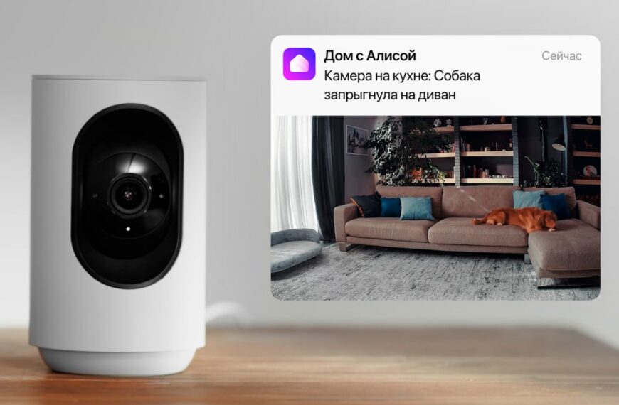 Умная камера в доме: уведомление о собаке на диване.
