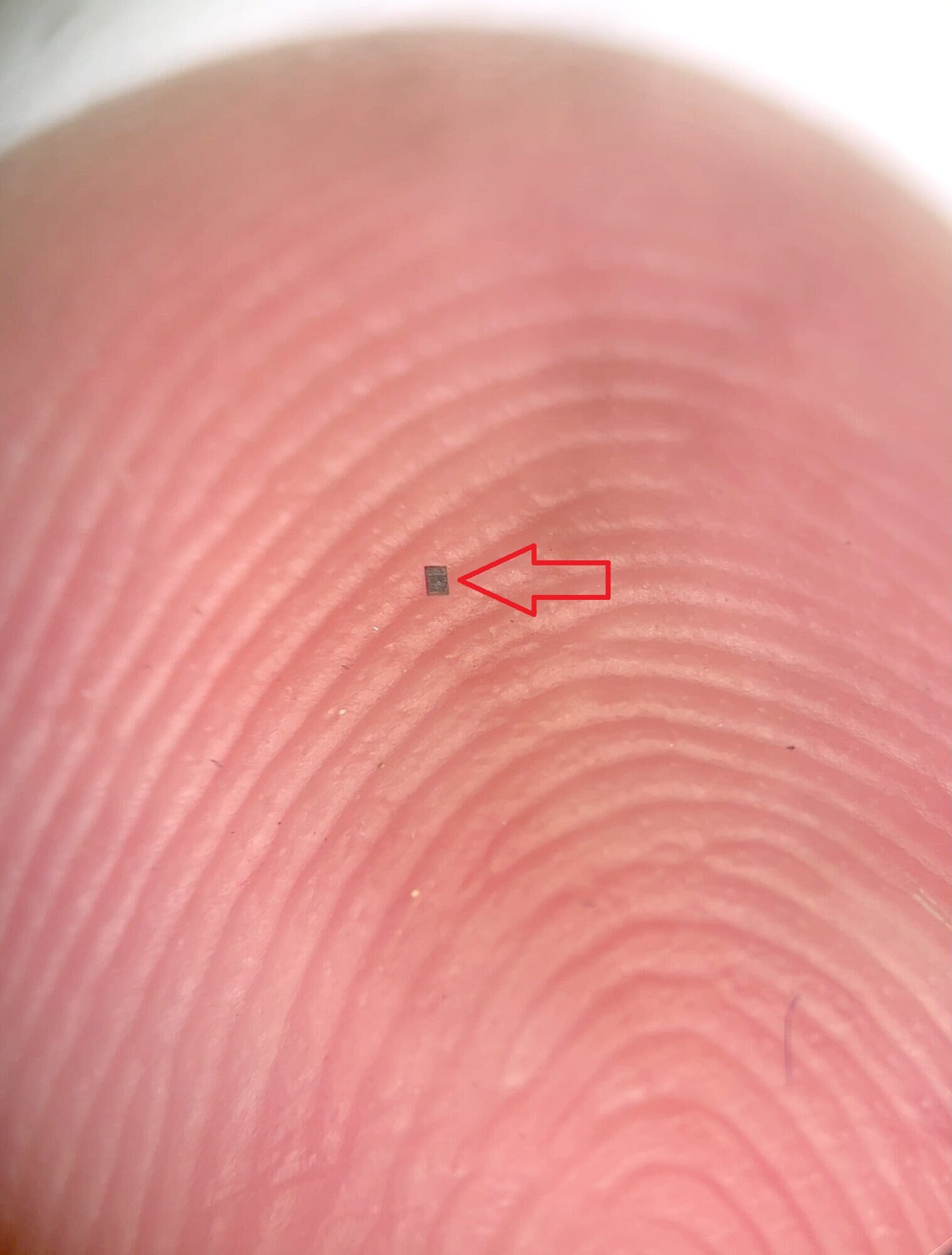 Учёные создали самых маленьких в мире программируемых роботов. Размер одного... 3 Палец с микроскопическим чипом, увеличенный, на отпечатках пальцев красная стрелка.