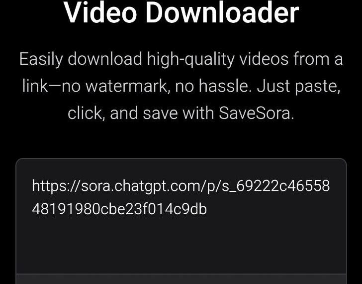 Онлайн загрузчик видео SaveSora: быстрое скачивание без водяных знаков и сложностей.