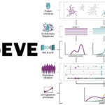 Диаграмма popEVE: эволюционные последовательности и вариации белков.
