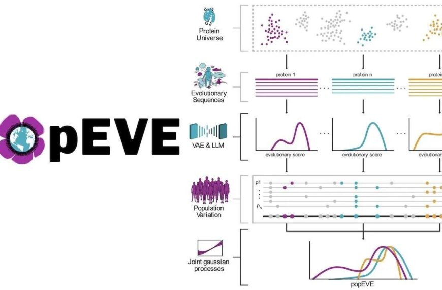 Диаграмма popEVE: эволюционные последовательности и вариации белков.