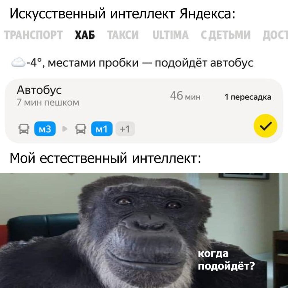 Мем о Яндекс-навигаторе и естественном интеллекте, с изображением задумчивой обезьяны.