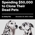 Люди тратят $50,000 на клонирование погибших домашних животных.