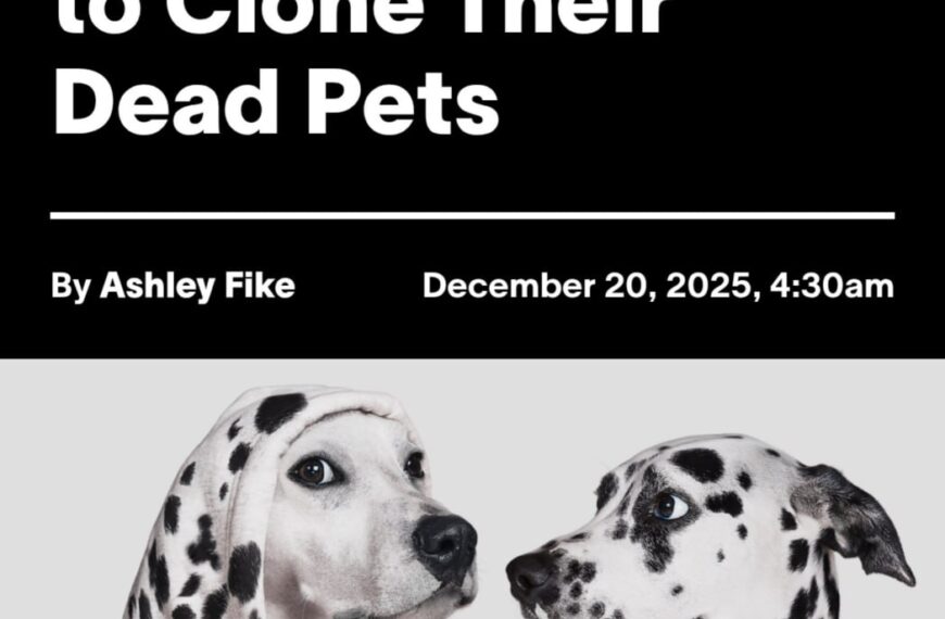 Люди тратят $50,000 на клонирование погибших домашних животных.