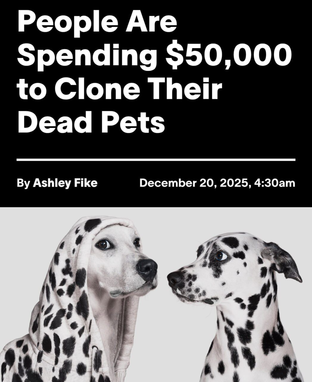 Люди тратят $50,000 на клонирование погибших домашних животных.