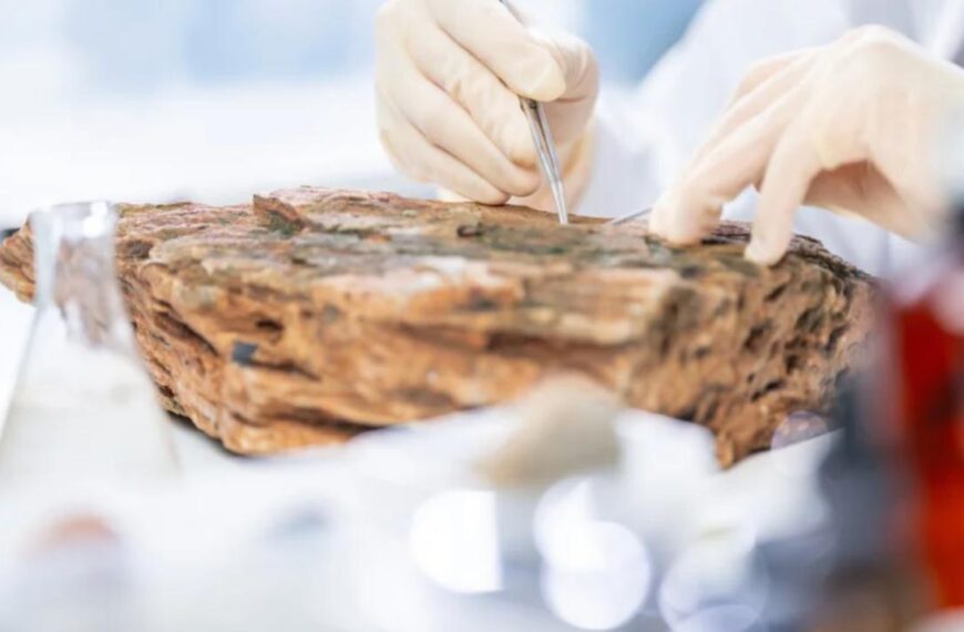 Палеонтолог изучает фоссилию в лаборатории, используя инструменты и перчатки.