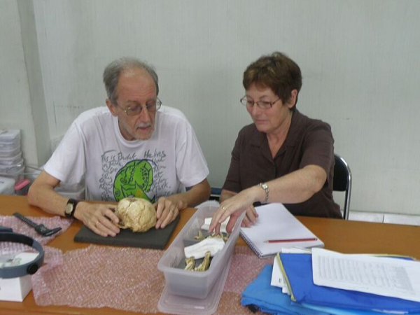 hobbity floresa vymerli ne iz za cheloveka vinovat klimat 5060c5b.jpg