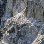 Ключ к жизни из космоса: в метеорите впервые нашли минерал аммония